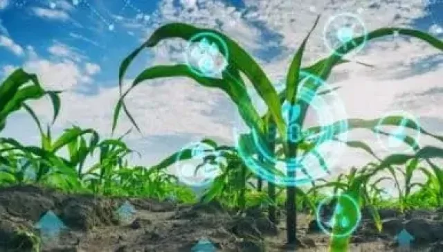 Revolutionizing Agriculture Planning: Altimetrik’s Agile Solution Delivers Operational Efficiency and Forecasting Precision